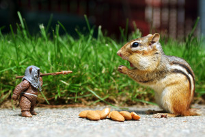热血战场,穿越火线百城嘉年华等你征服! 热血战场,穿越火线百城嘉年华等你征服!